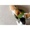 P.L.A.Y. Feline Frenzy｜Peek-a-Boo Mouse 地鼠迷蹤_5