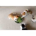 P.L.A.Y. Feline Frenzy｜Peek-a-Boo Mouse 地鼠迷蹤_4