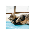 P.L.A.Y. Feline Frenzy Small Animals｜小動物貓草玩具（五款）_6