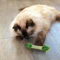 Catstages Fresh Breath Mint Stick 清新薄荷棒｜貓咪聞嗅啃咬玩具_1