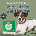 脫胎換骨保健粉（30包／盒）｜毛健寶 MAO JIAN BAO_1