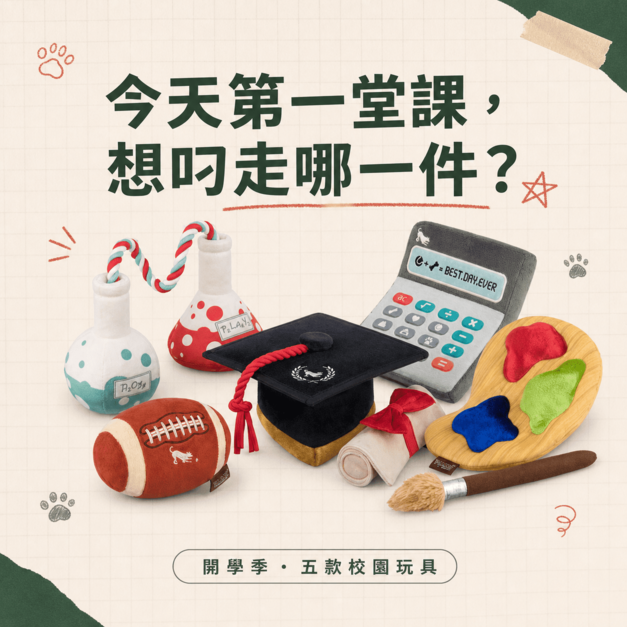 Play Pet Back to School 開學季系列｜五款校園造型與五件組