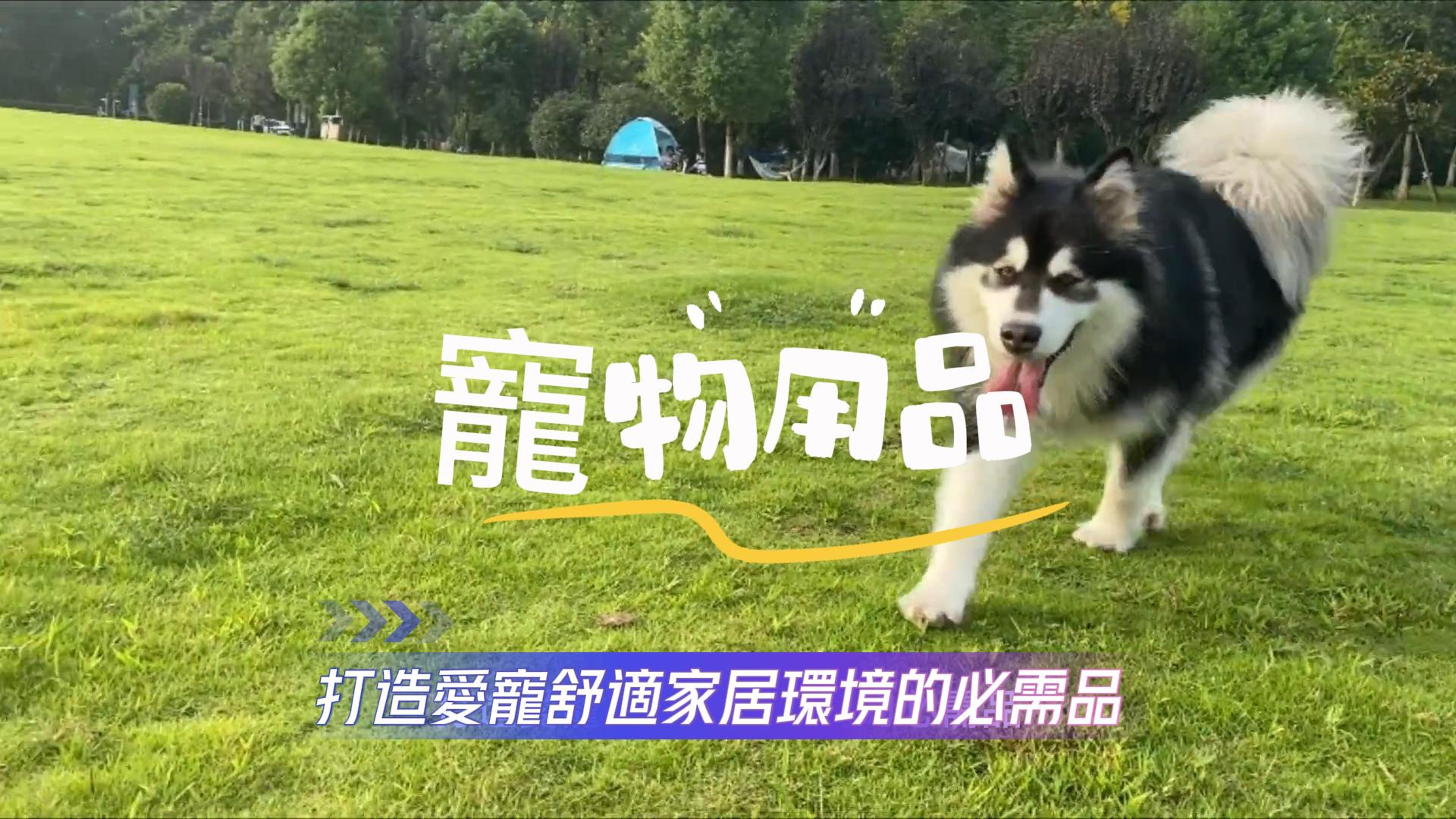 寵物用品必備清單 封面