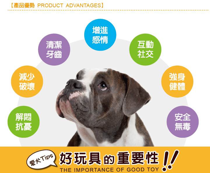 Petstages 綠咖咖果凍骨 咬合結構示意