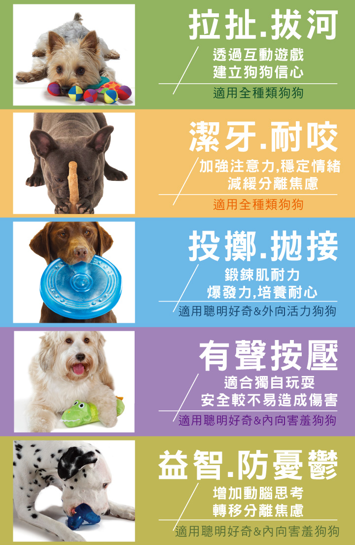 Petstages 綠咖咖果凍骨 使用場景示意