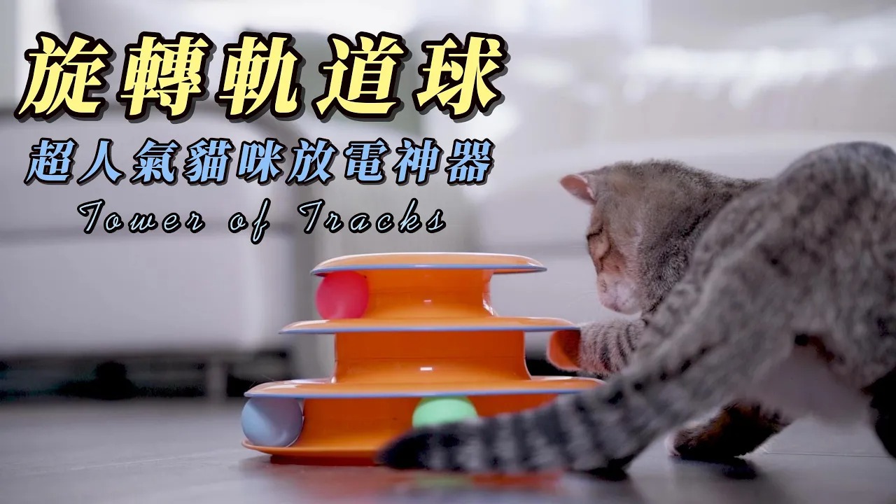 【貓奴必備】旋轉軌道球｜三層軌道×六顆彩球，貓咪放電神器
