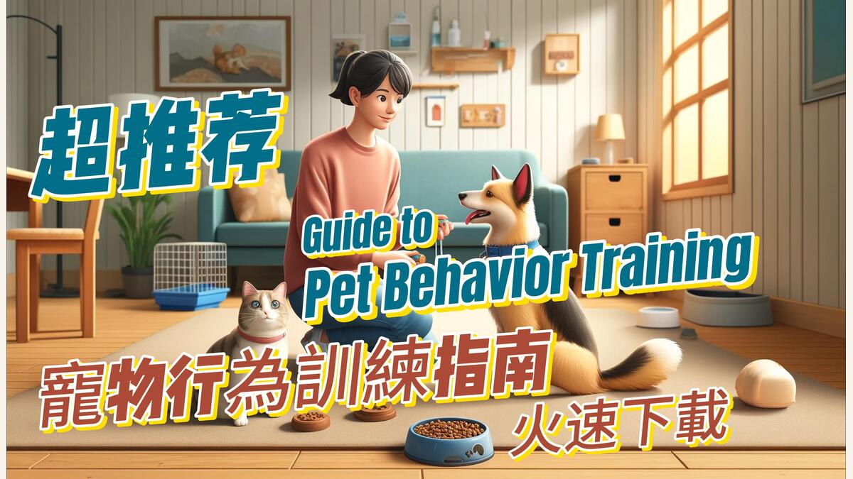 寵物行為訓練怎麼開始？正向引導與日常管理
