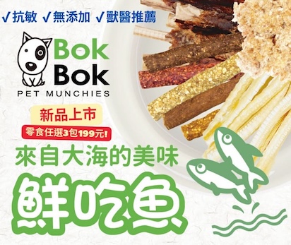 BokBok 199