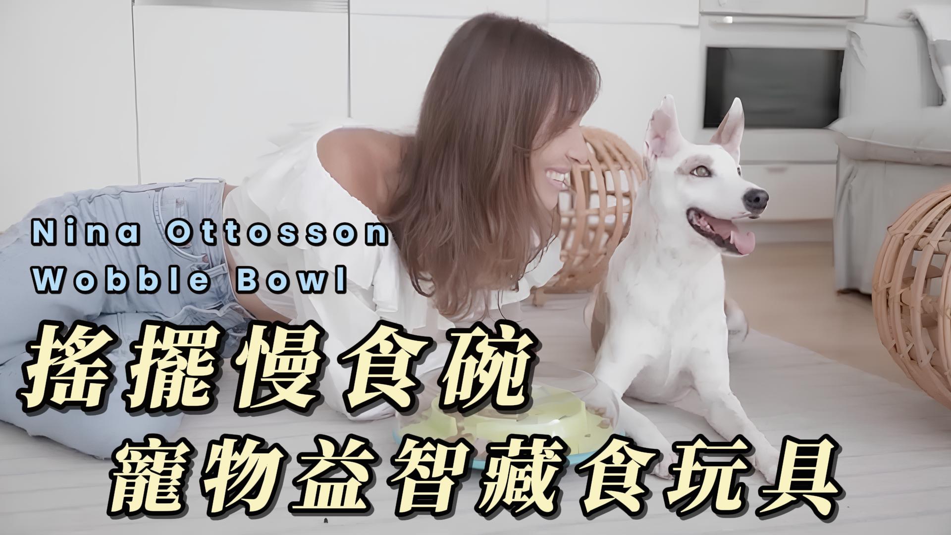Nina Ottosson 搖擺慢食碗｜讓狗狗吃得更健康、更有趣
