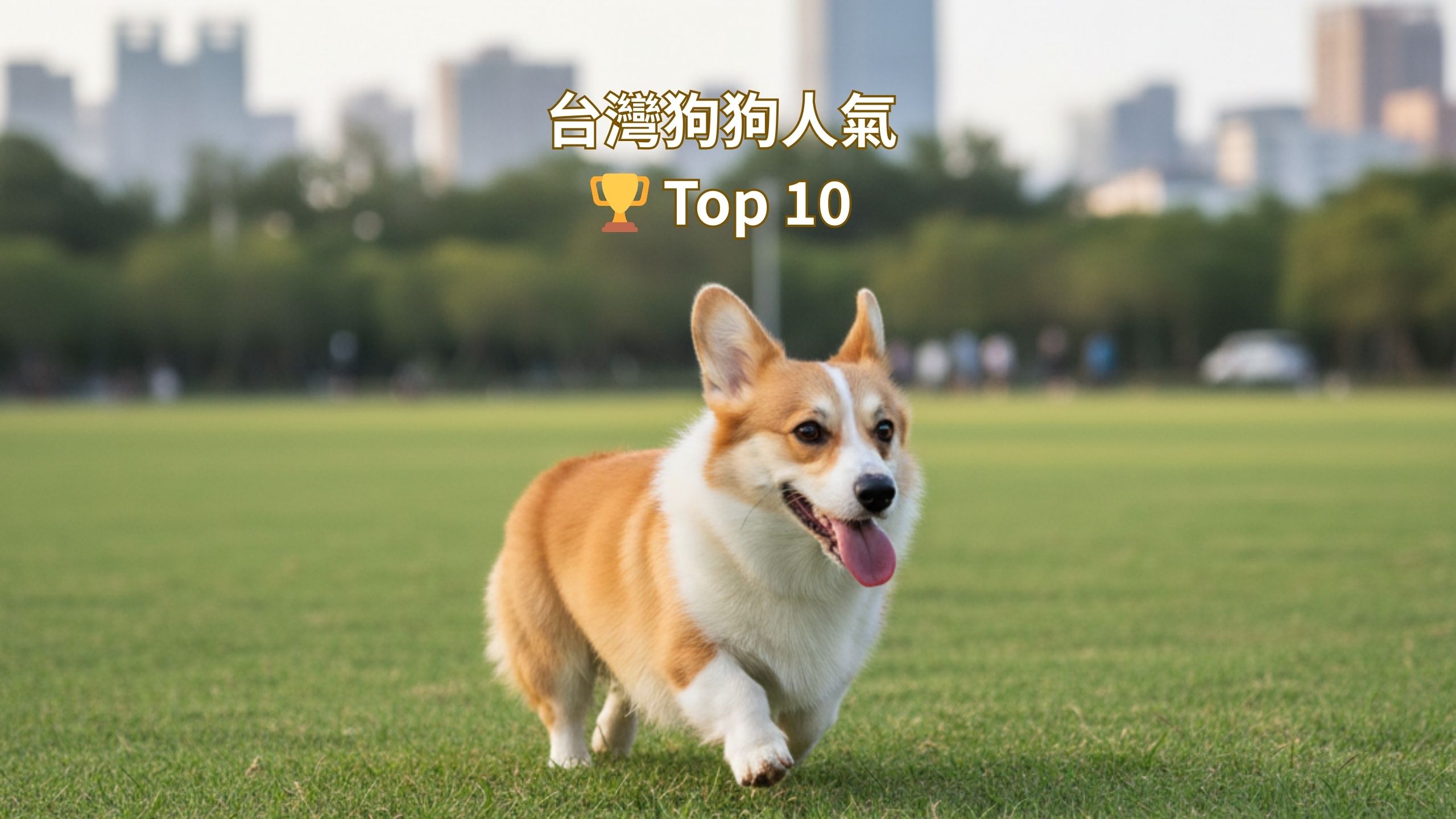 狗狗人氣 Top 10：台灣最受歡迎犬種完整解析