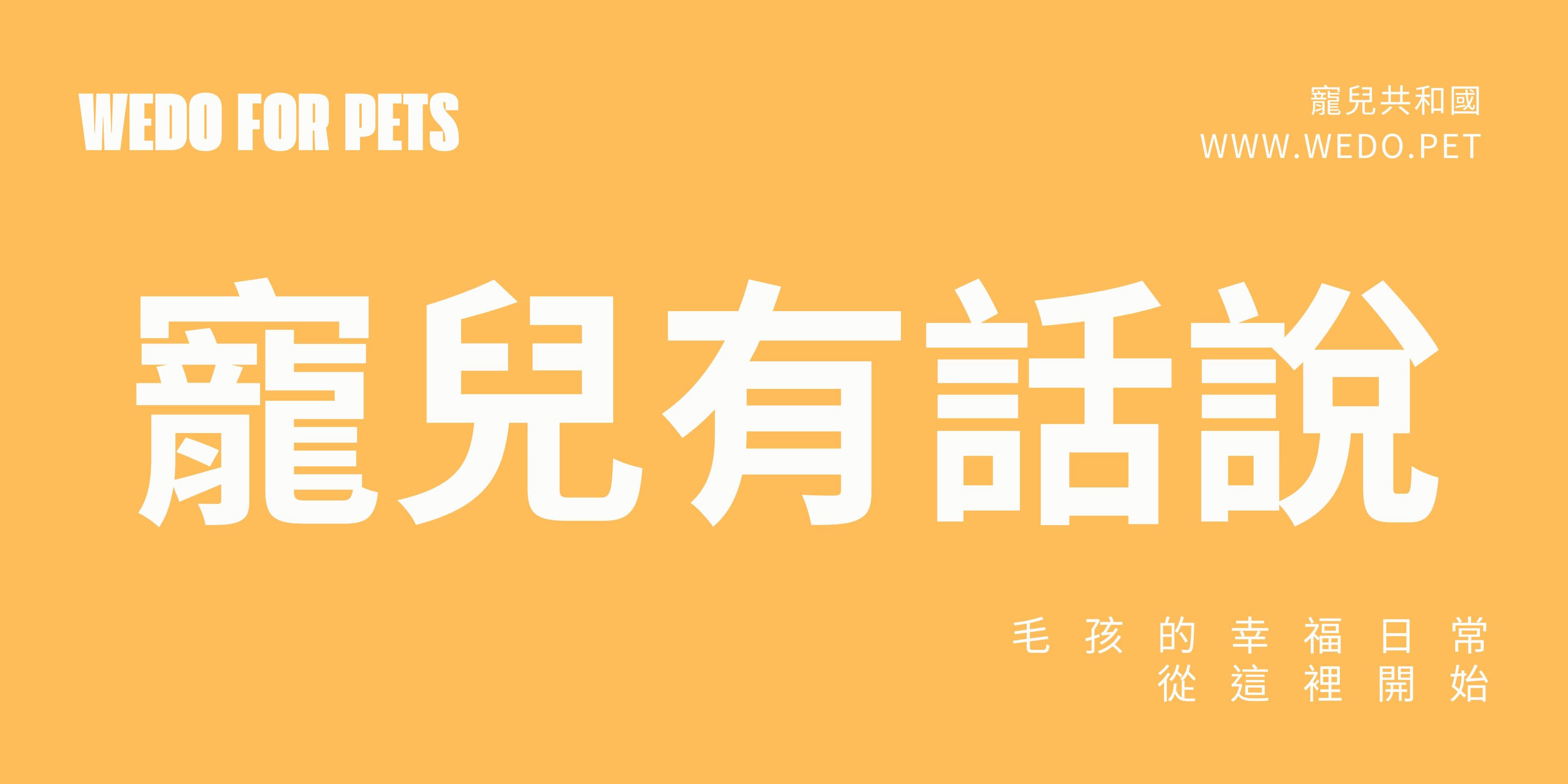 寵兒有話說