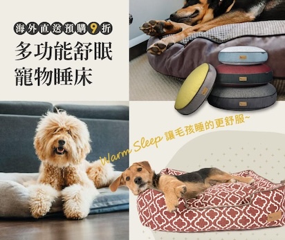 寵物床