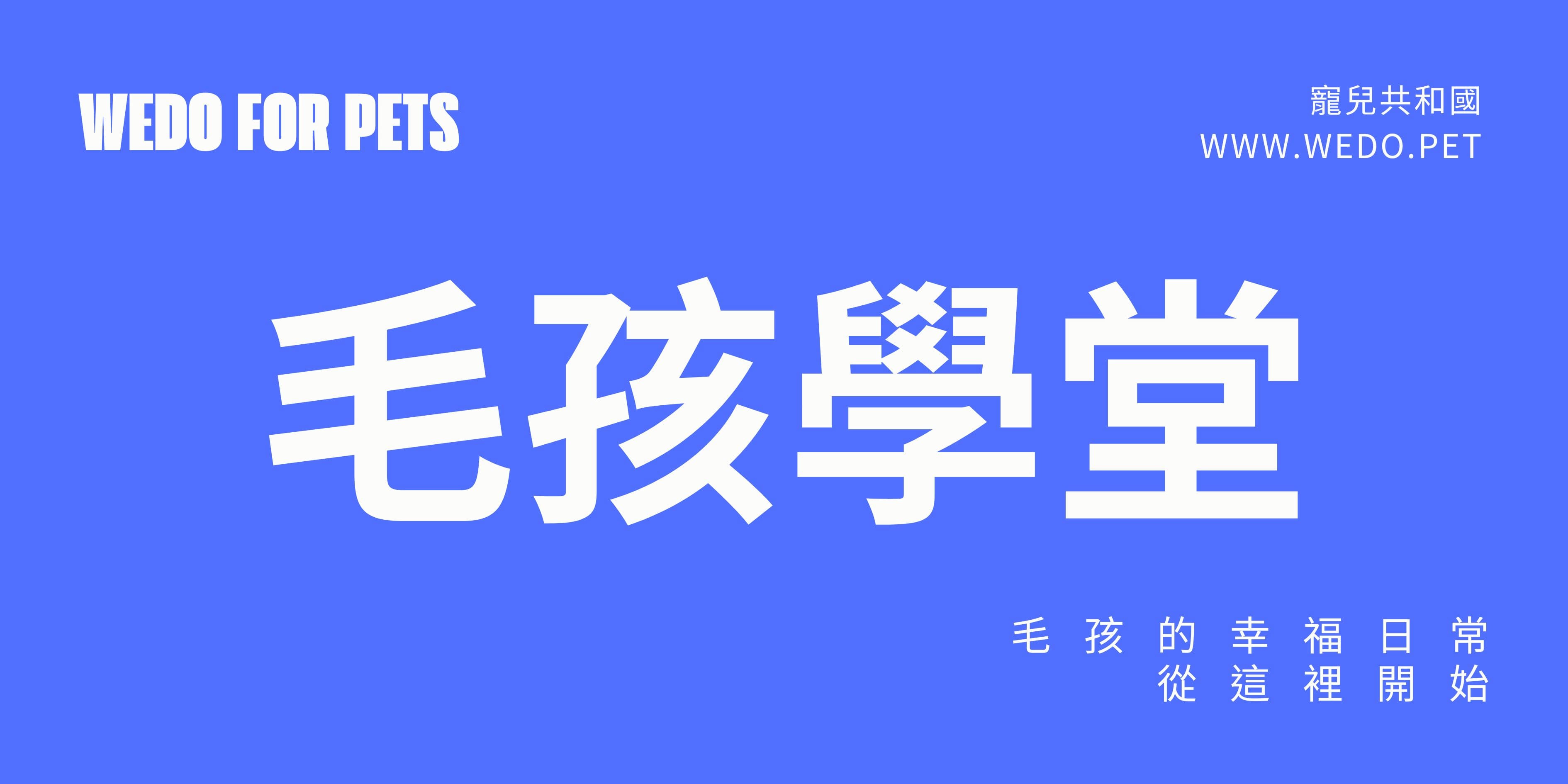 毛孩學堂