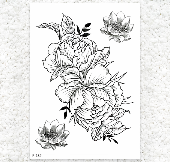 牡丹花素描