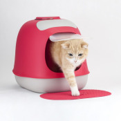 Min&ugrave; All in One義大利時尚貓砂盆（四色可選）