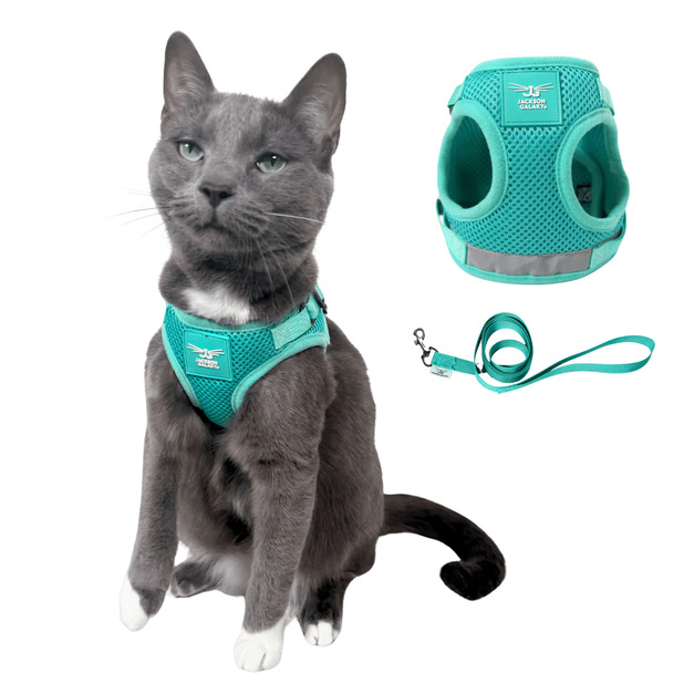 美國Travel Cat貓旅行《管教惡貓》Jackson Galaxy聯名貓專用胸背式外出背心+牽繩 透氣舒服不易逃脫