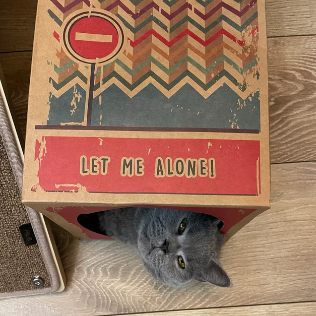 牛皮紙貓隧道 貓窩 貓玩具 躲貓貓