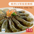 【阿拉伯】藍鑽蝦-1kg/盒_2