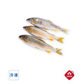 【台灣優質】宜蘭特選母香魚3入｜約450g(2盒一組)_2