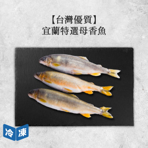 【台灣優質】宜蘭特選母香魚3入｜約450g
