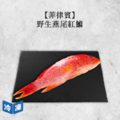 【菲律賓】野生燕尾紅鰷｜約350g_1