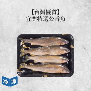 【台灣優質】宜蘭特選公香魚4入｜約500g