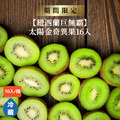 紐西蘭巨無霸太陽金奇異果16入/箱