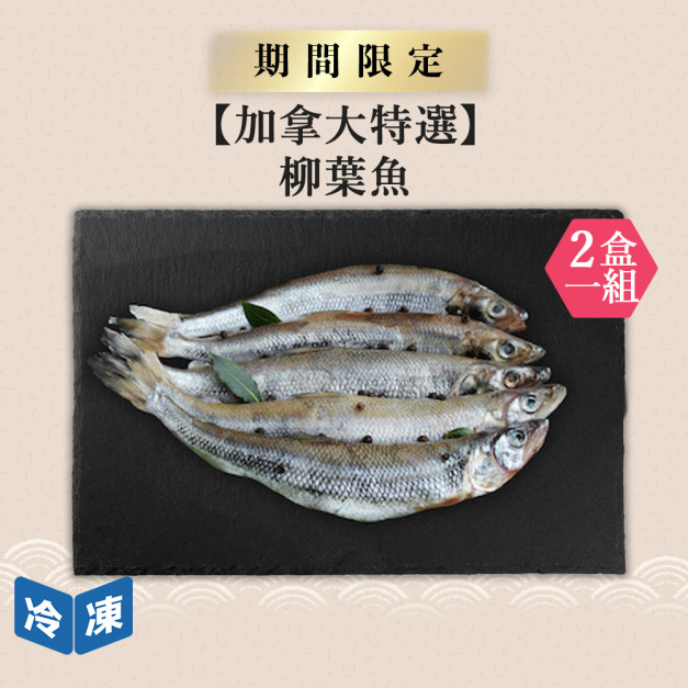 【加拿大特選】柳葉魚｜約300g(2盒一組)