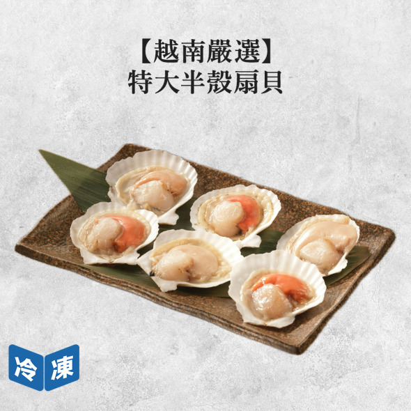 【越南嚴選】特大半殼扇貝4入-400g/包
