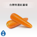 蔬菜箱-根莖類_3