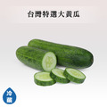 蔬菜箱-瓜/椒類_5