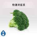 蔬菜箱-菜/薑蒜類_4
