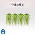 蔬菜箱-菜/薑蒜類_1