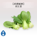 蔬菜箱-菜/薑蒜類_8