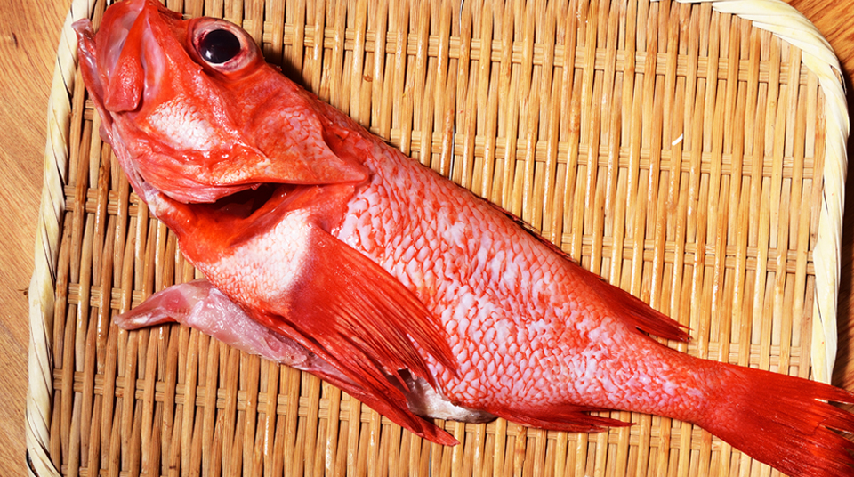 【珍贵稀有】日本野生喜知次鱼 450g/尾