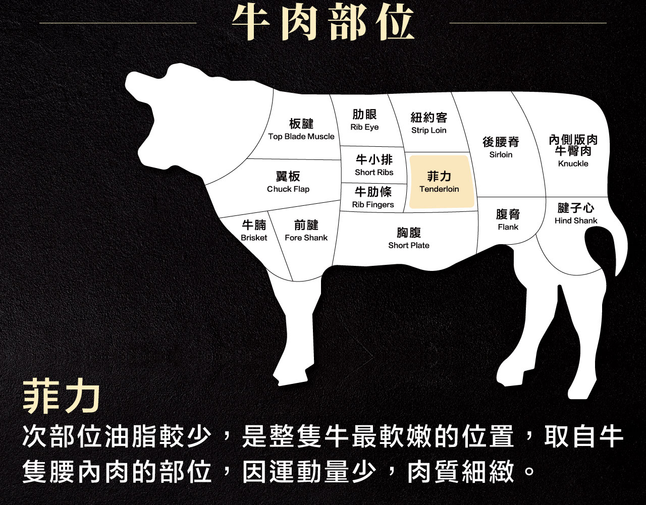 菲力 可說是牛的腰內肉，瘦肉較多而脂肪較少、肉質 極鮮嫩，在一頭牛所佔 的部位比極少，因此特別 珍貴
