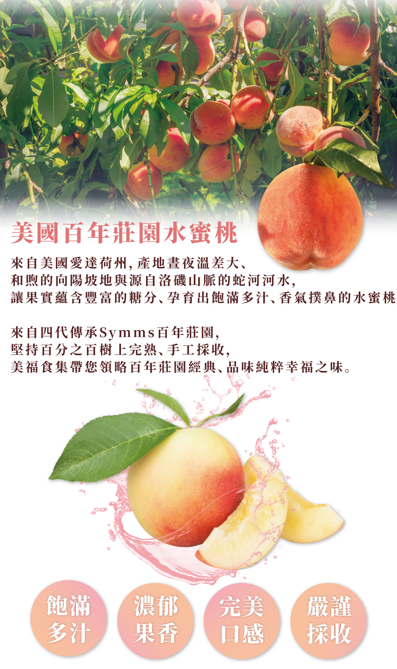 美國百年莊園 水蜜桃預購中！