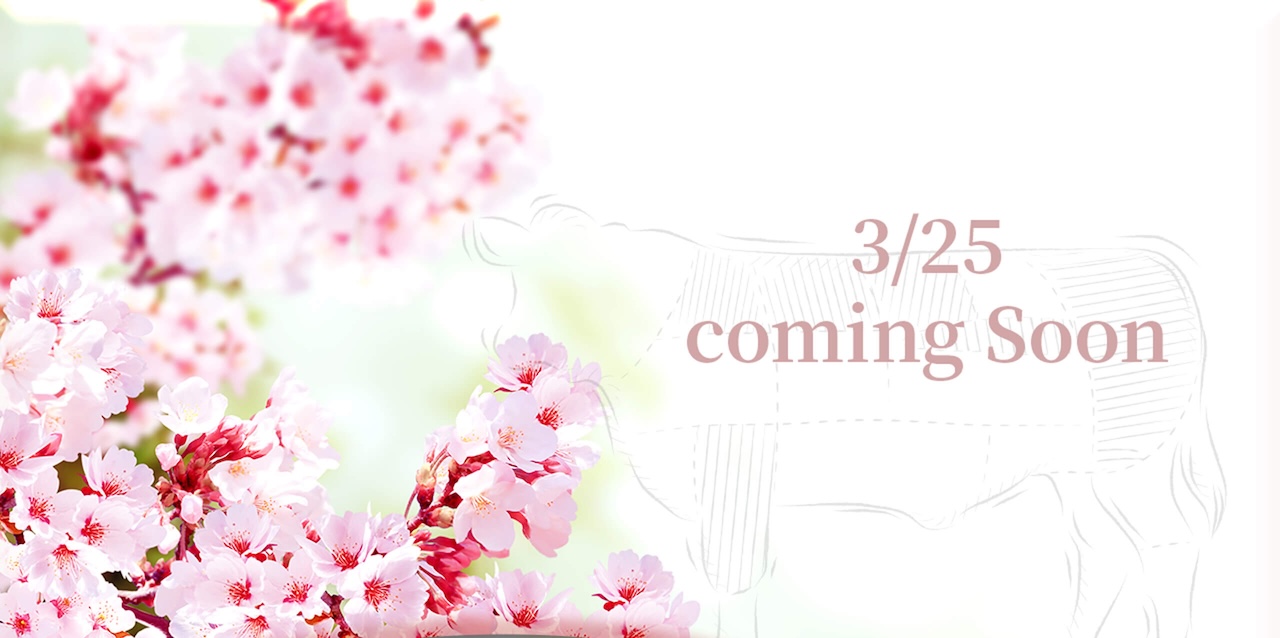 0318快閃極黑和牛牛小排火鍋片