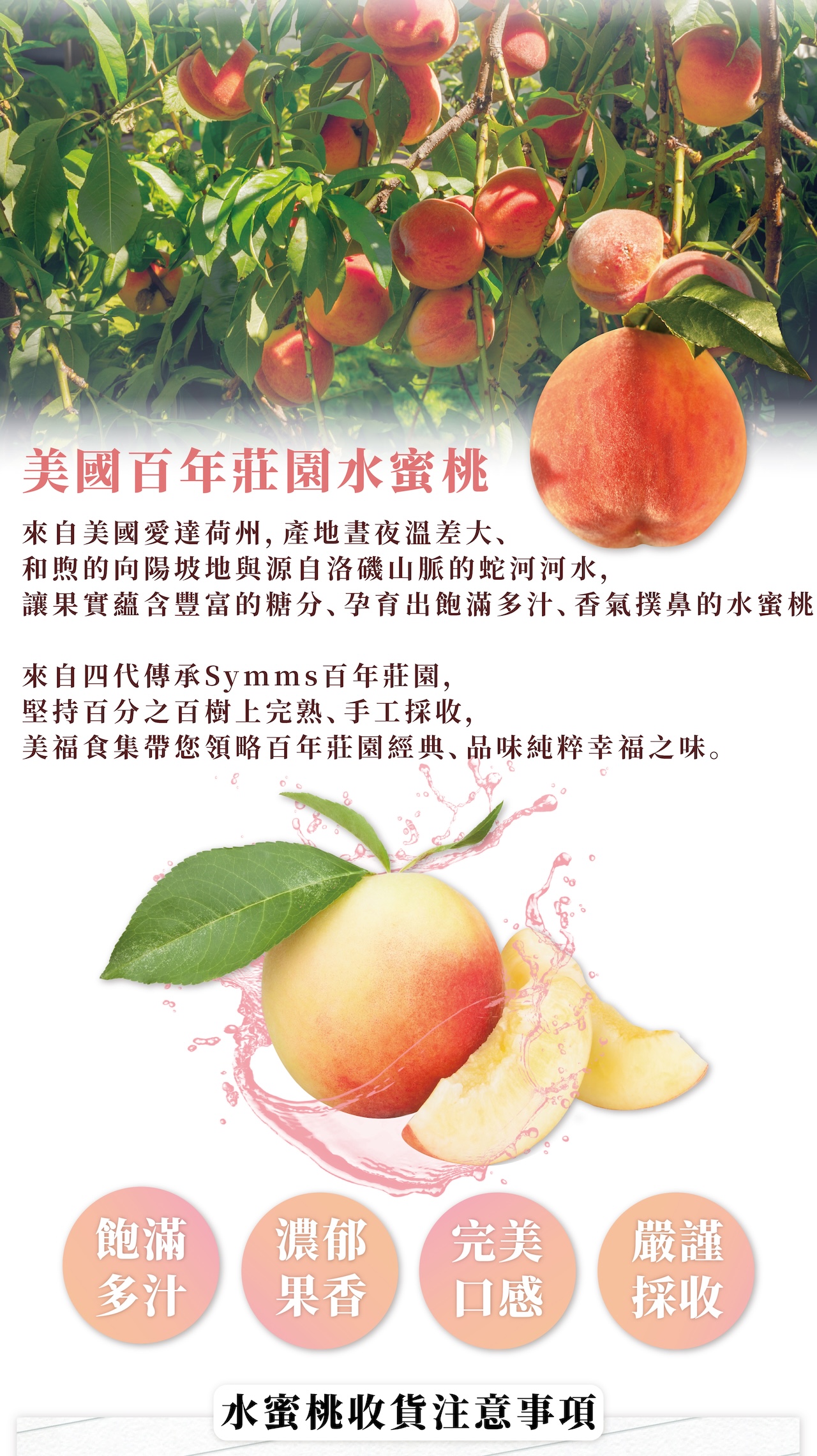 美國百年莊園 水蜜桃預購中！