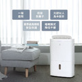 【Electrolux 伊萊克斯】極適家居300 10L 清淨除濕機(ED1031WC)_1