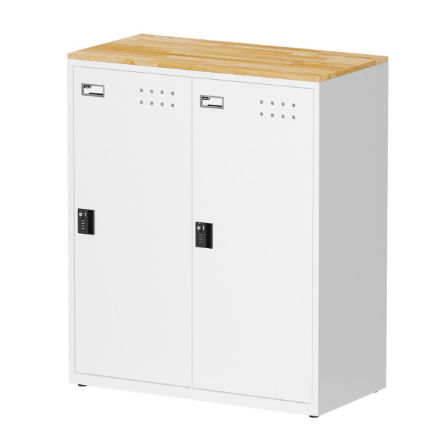 【天鋼】密碼鎖櫃/型號： FBA-202W