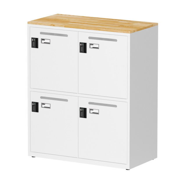 【天鋼】密碼鎖櫃/型號：FBA-204W