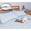 2025年【正韓製】天絲膠原涼感三件組(床墊*1＋枕套*2)_6