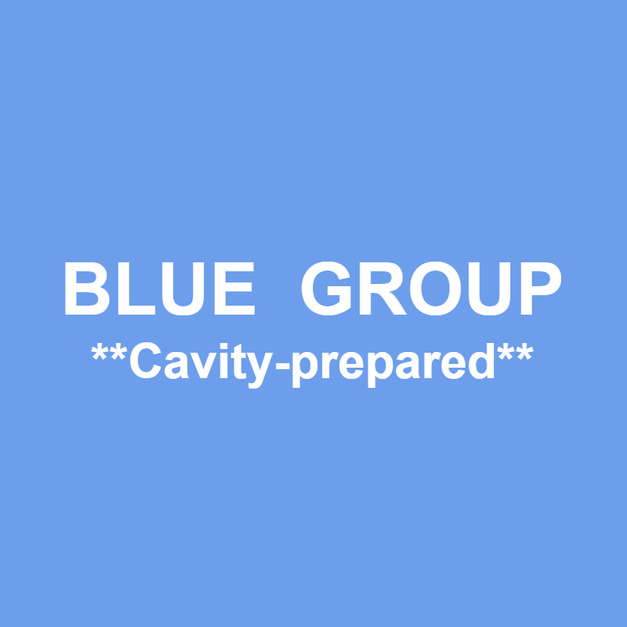 BLUE  GROUP *Cavity-prepared*