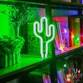 LED仙人掌燈條