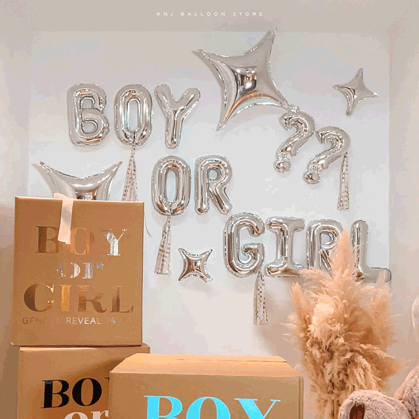 [全新商品] 美式性別揭曉派對箱