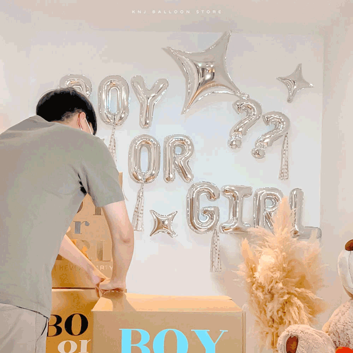 [全新商品] 美式性別揭曉派對箱_1