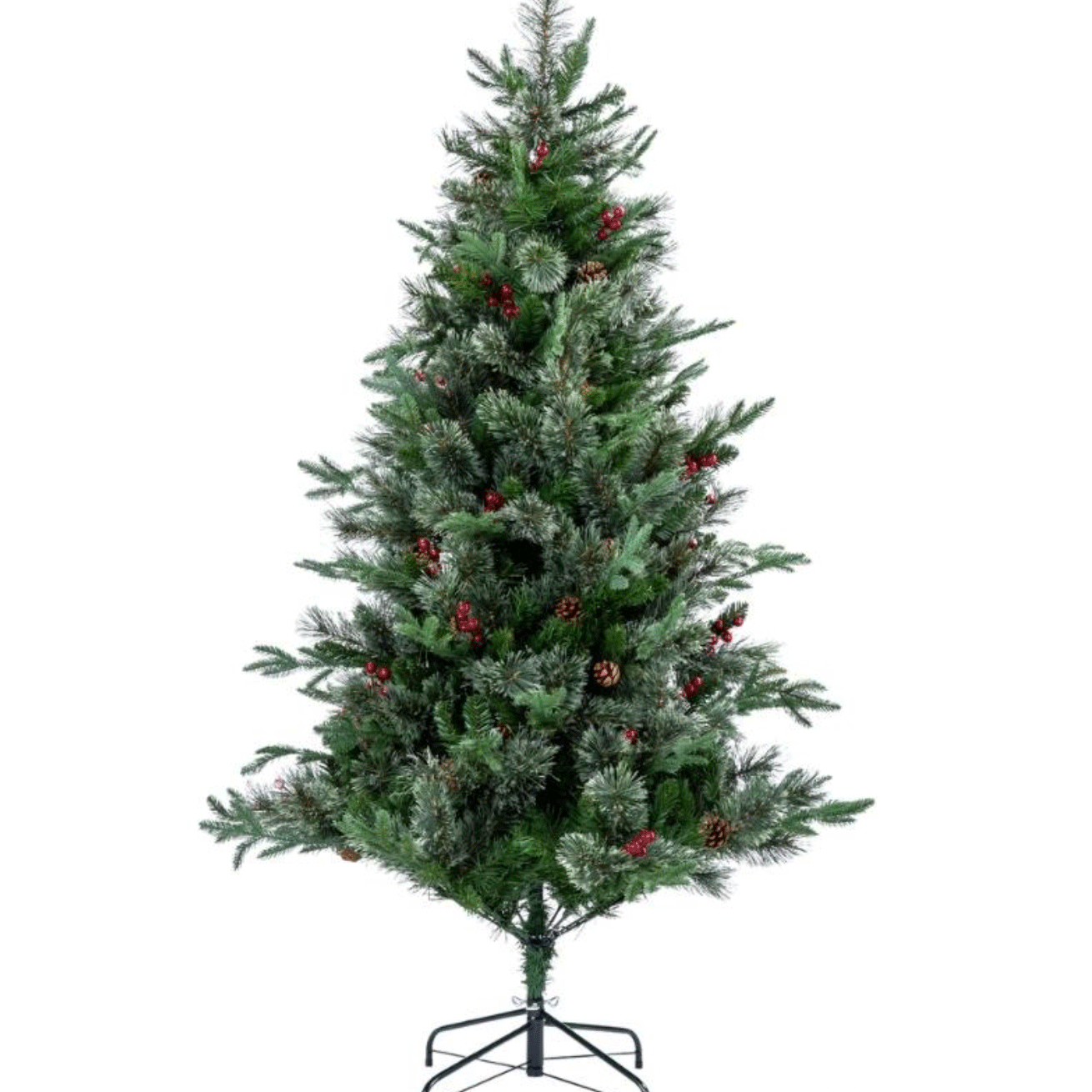 圓葉松針紅果樹 +NT1,400