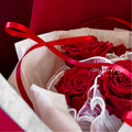紅絲絨．九朵永生玫瑰花束 _3
