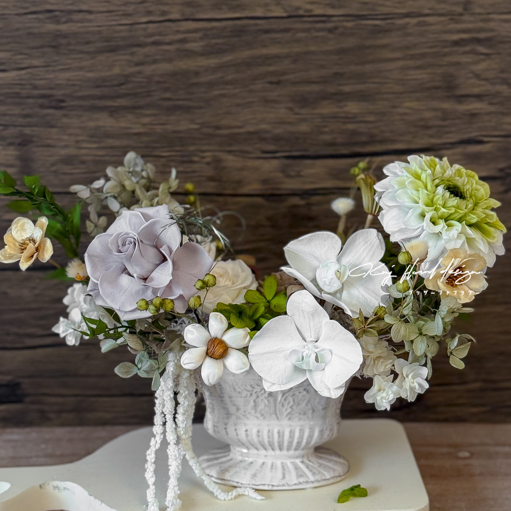 草木晨曦開幕桌花盆